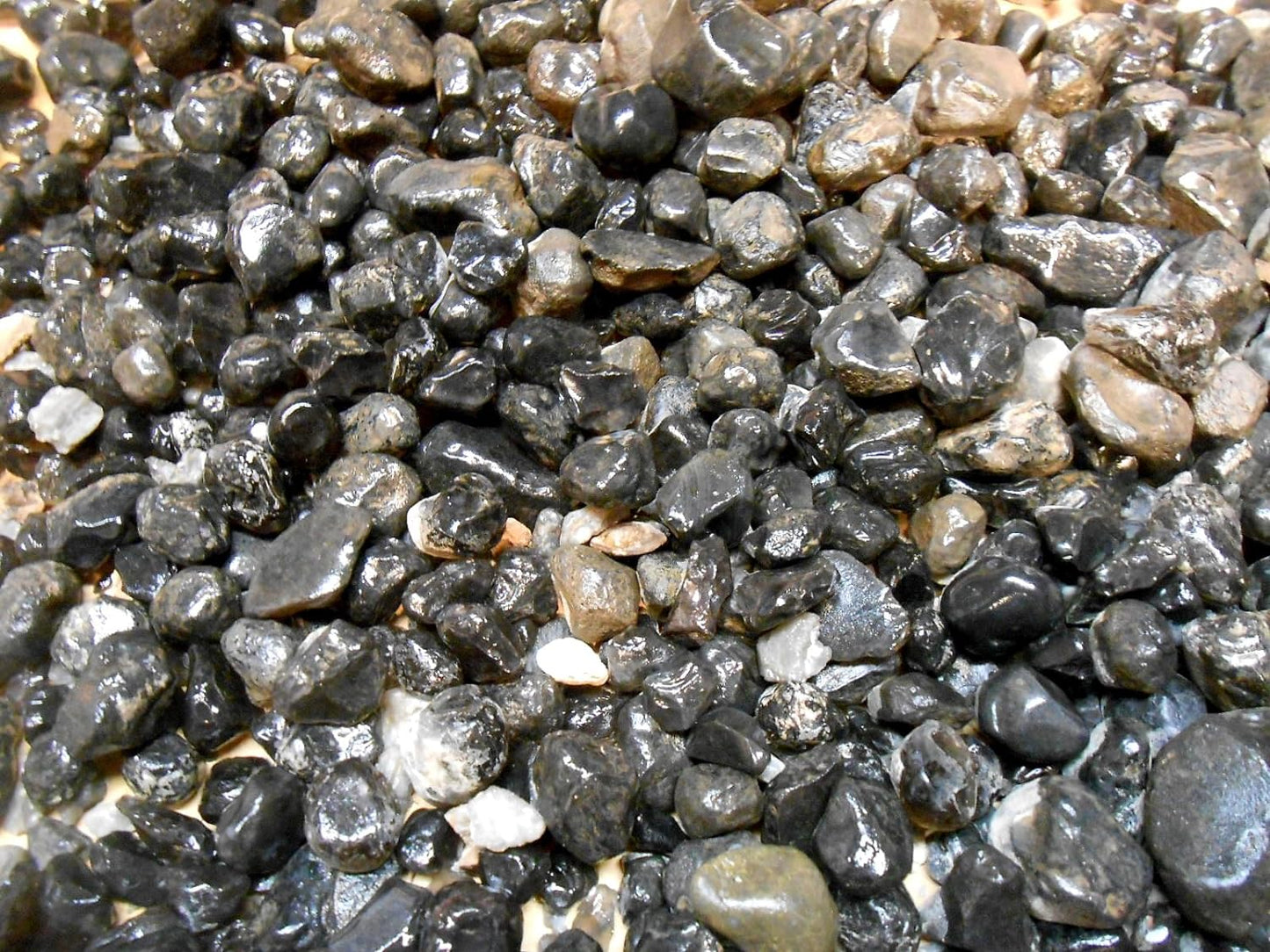 Black Obsidian Mexico Apache Tears 8OZ Rock Tumbler Refill